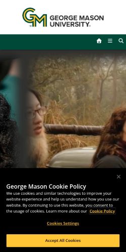 Screenshot of the audited page (Mobile 375×812)