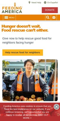 Screenshot of the audited page (Mobile 375×812)