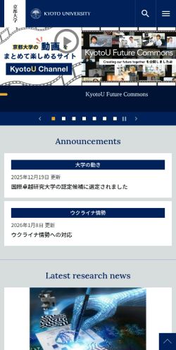 Screenshot of the audited page (Mobile 375×812)