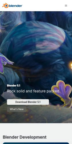 Screenshot of the audited page (Mobile 375×812)