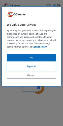 Screenshot of the audited page (Mobile 375×812)