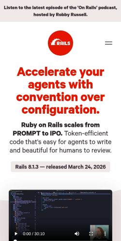 Screenshot of the audited page (Mobile 375×812)
