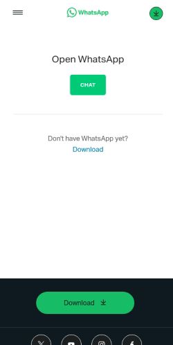 Screenshot of the audited page (Mobile 375×812)