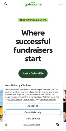 Screenshot of the audited page (Mobile 375×812)