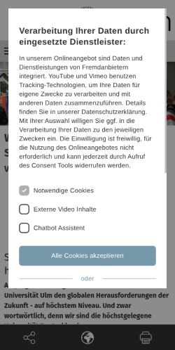 Screenshot of the audited page (Mobile 375×812)