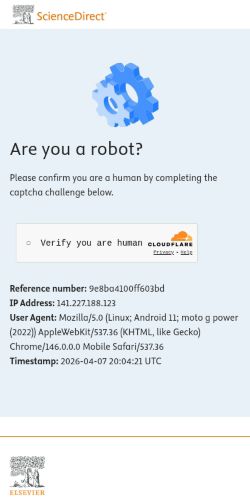 Screenshot of the audited page (Mobile 375×812)