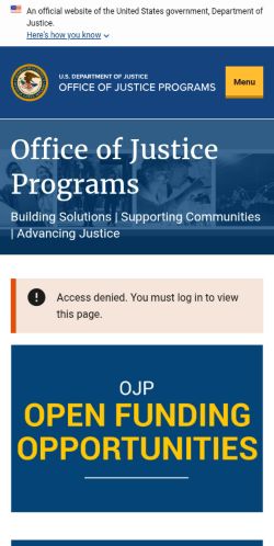 Screenshot of the audited page (Mobile 375×812)