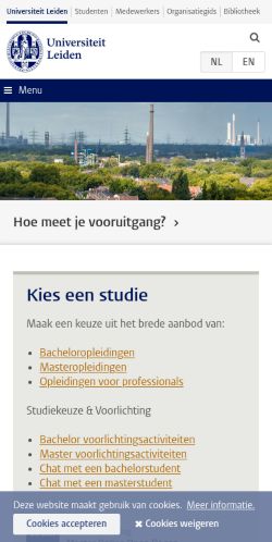 Screenshot of the audited page (Mobile 375×812)