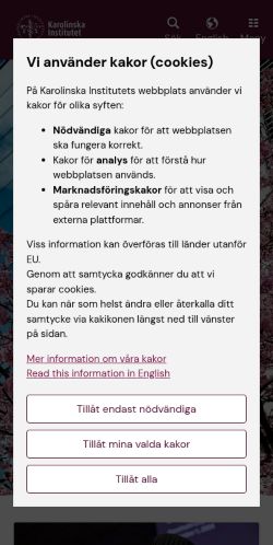 Screenshot of the audited page (Mobile 375×812)