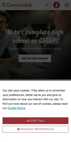 Screenshot of the audited page (Mobile 375×812)