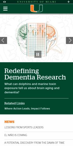 Screenshot of the audited page (Mobile 375×812)