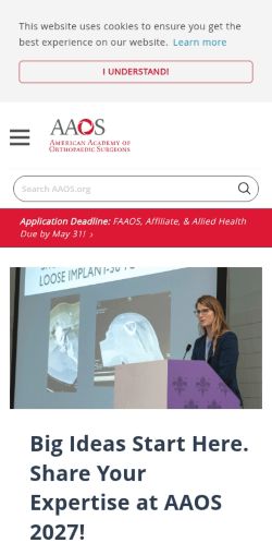 Screenshot of the audited page (Mobile 375×812)