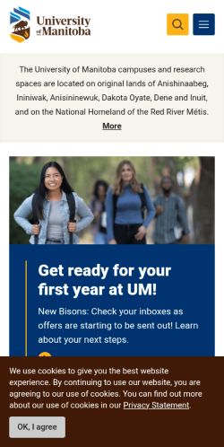Screenshot of the audited page (Mobile 375×812)