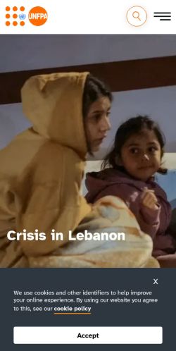 Screenshot of the audited page (Mobile 375×812)