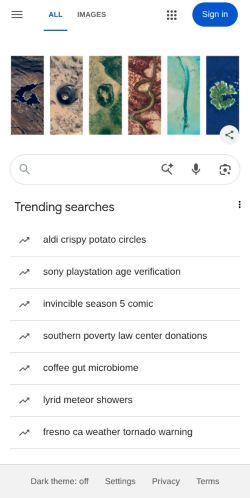 Screenshot of the audited page (Mobile 375×812)
