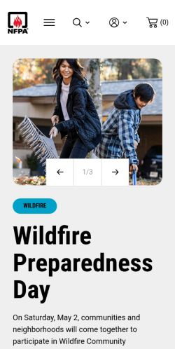 Screenshot of the audited page (Mobile 375×812)