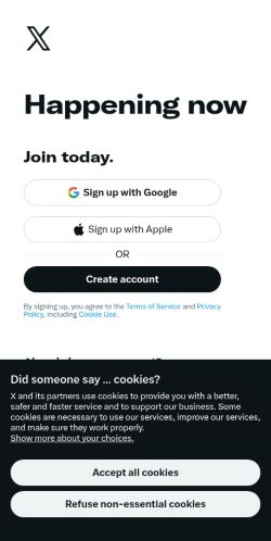 Screenshot of the audited page (Mobile 375×812)
