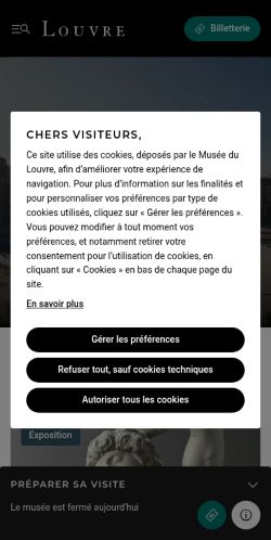 Screenshot of the audited page (Mobile 375×812)
