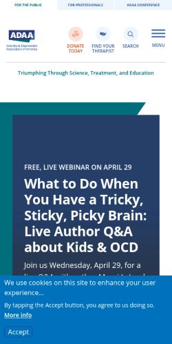 Screenshot of the audited page (Mobile 375×812)