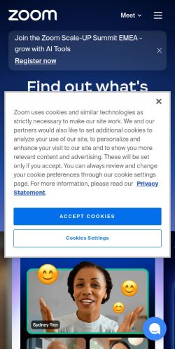 Screenshot of the audited page (Mobile 375×812)