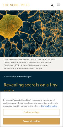 Screenshot of the audited page (Mobile 375×812)