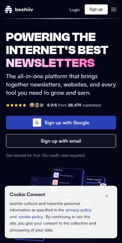 Screenshot of the audited page (Mobile 375×812)