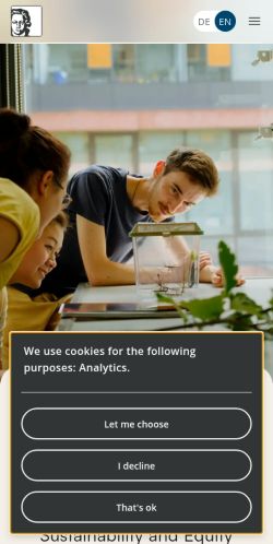 Screenshot of the audited page (Mobile 375×812)