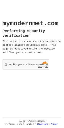 Screenshot of the audited page (Mobile 375×812)