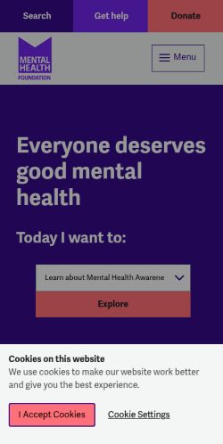 Screenshot of the audited page (Mobile 375×812)