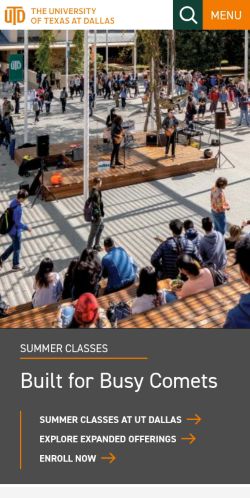 Screenshot of the audited page (Mobile 375×812)