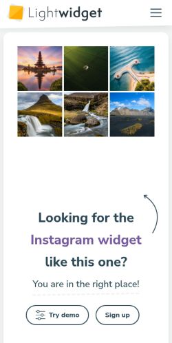 Screenshot of the audited page (Mobile 375×812)