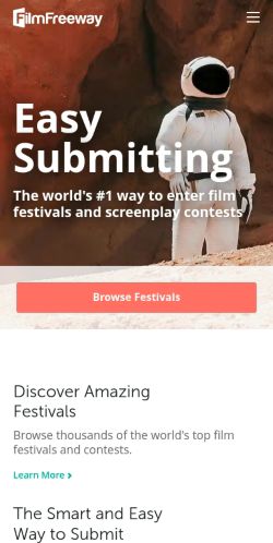 Screenshot of the audited page (Mobile 375×812)