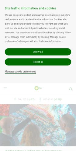 Screenshot of the audited page (Mobile 375×812)