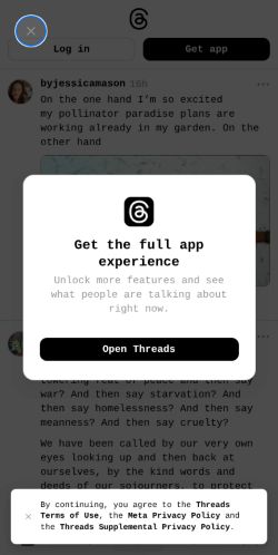 Screenshot of the audited page (Mobile 375×812)