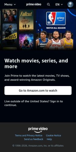 Screenshot of the audited page (Mobile 375×812)