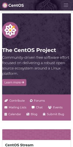 Screenshot of the audited page (Mobile 375×812)