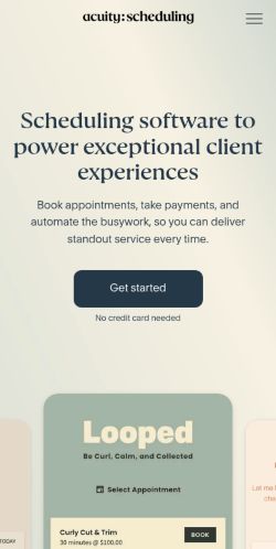 Screenshot of the audited page (Mobile 375×812)