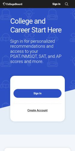 Screenshot of the audited page (Mobile 375×812)