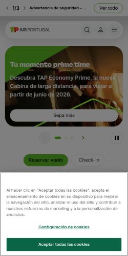 Screenshot of the audited page (Mobile 375×812)