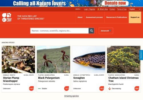 Screenshot of the audited page (Desktop 1440×900)