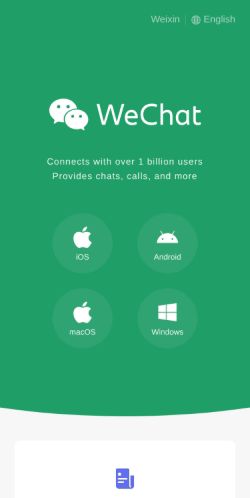 Screenshot of the audited page (Mobile 375×812)