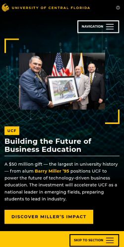 Screenshot of the audited page (Mobile 375×812)