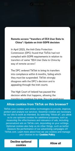 Screenshot of the audited page (Mobile 375×812)