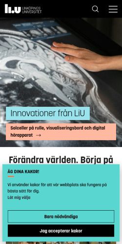 Screenshot of the audited page (Mobile 375×812)