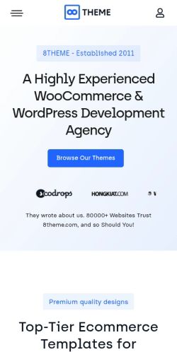 Screenshot of the audited page (Mobile 375×812)