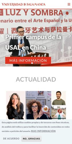 Screenshot of the audited page (Mobile 375×812)