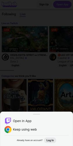Screenshot of the audited page (Mobile 375×812)