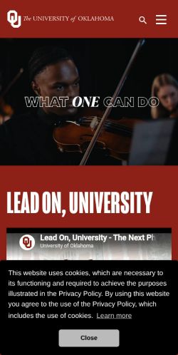 Screenshot of the audited page (Mobile 375×812)