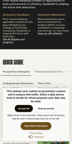 Screenshot of the audited page (Mobile 375×812)