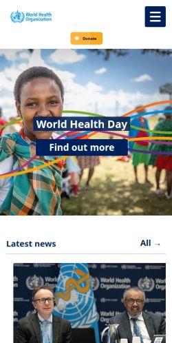 Screenshot of the audited page (Mobile 375×812)